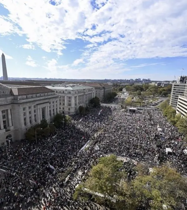 pro hamas rally in DC jpg