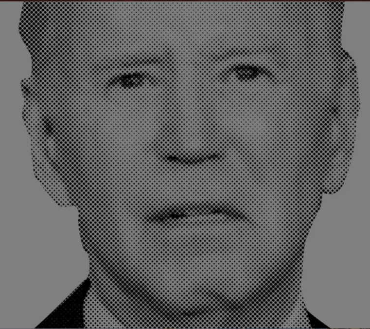 dot matrix biden