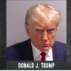 donald trump mugshot