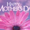 mothers day flower