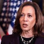 kamala harris dumb