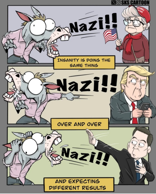 Elon Musk and Trump the Nazis