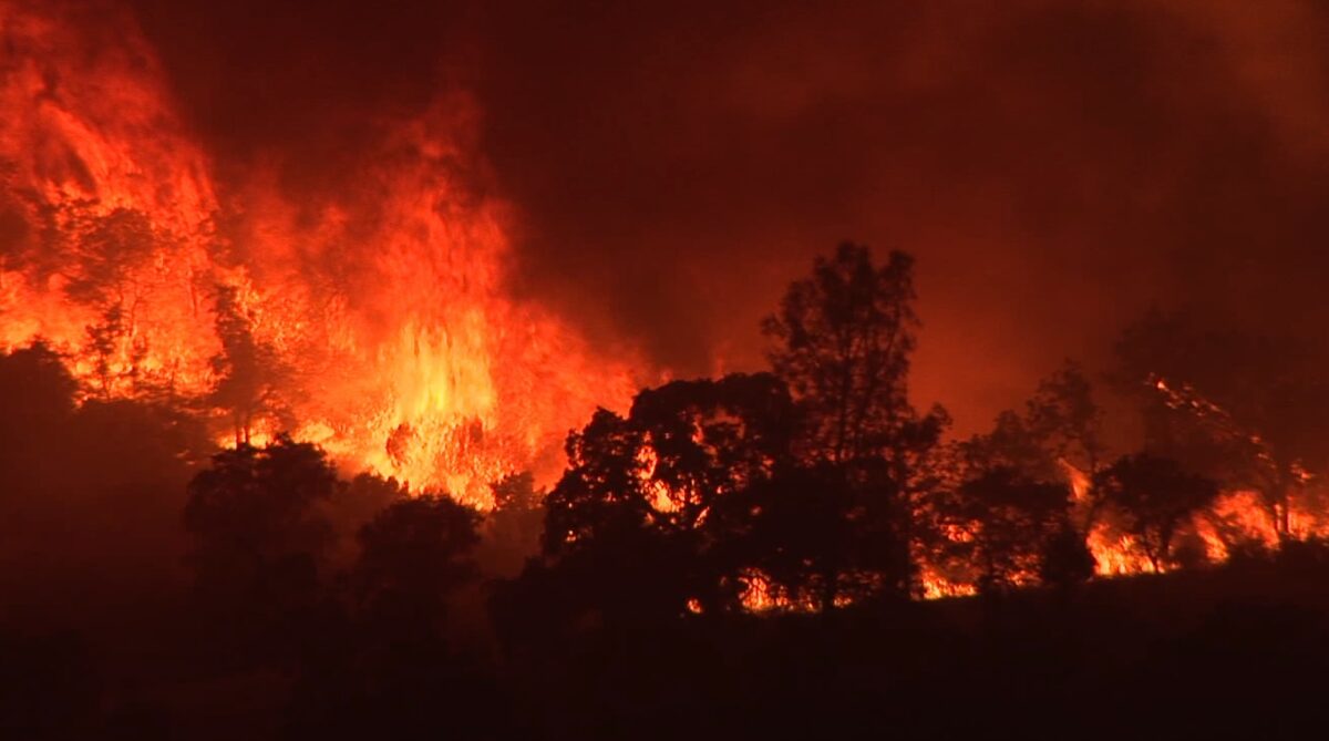 Fire_Wall january 2025 SoCal fire