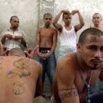 illegal alien children are gang members