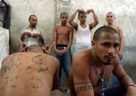 illegal alien children are gang members