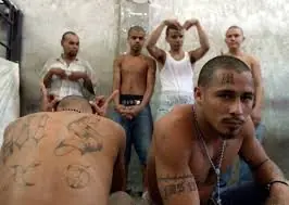 illegal alien children are gang members