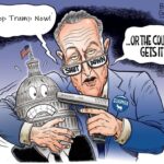 Schumer Shutdown update for 2025