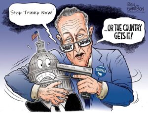 Schumer Shutdown update for 2025