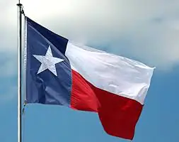 texas flag waving in the wind